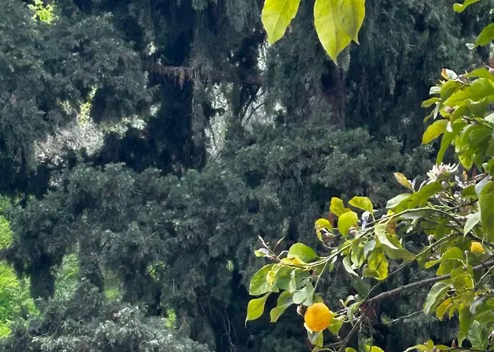 Casa de Férias Sokratesvilla